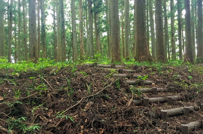 上楯城　二の丸跡