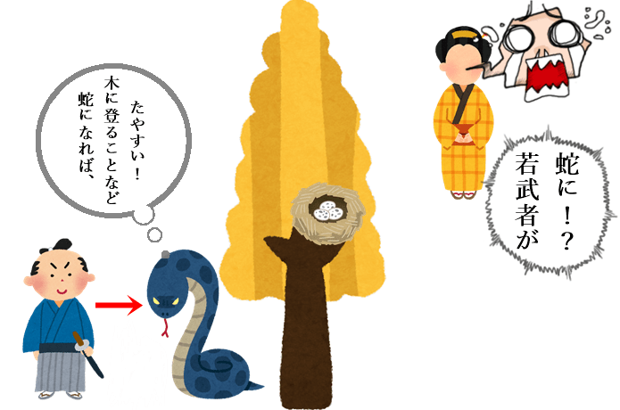蛇と銀杏伝説　宮城