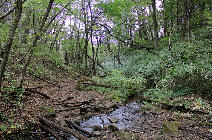 泉ヶ岳　山麓　川