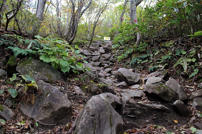 泉ヶ岳　滑走コース　急斜面