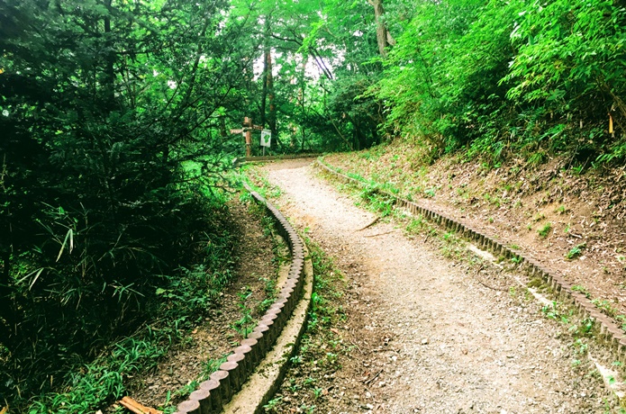 水の森公園　西周遊コース 　道