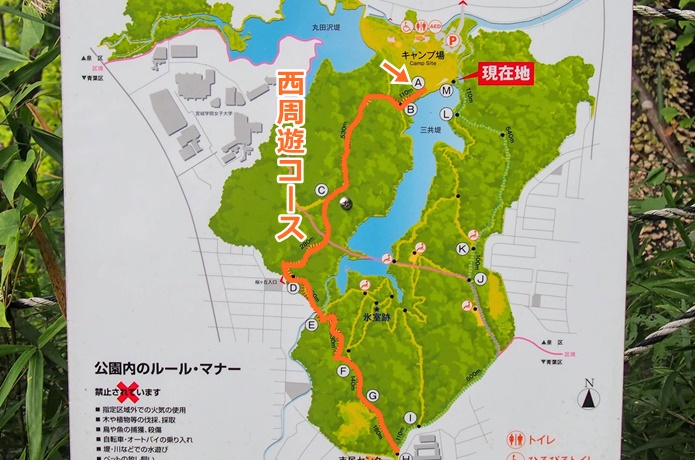 仙台　水の森公園　マップ