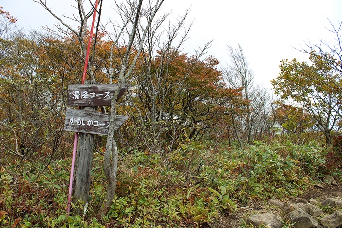 泉ヶ岳　山頂　滑走コース