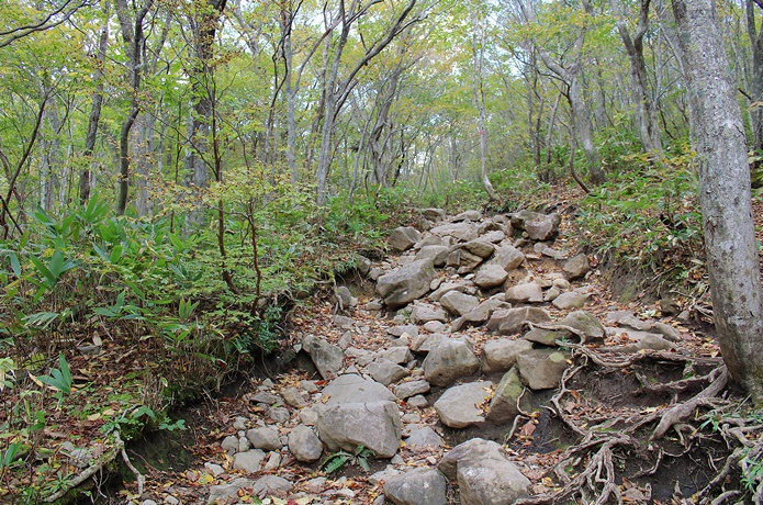 泉ヶ岳　水神コース　後半