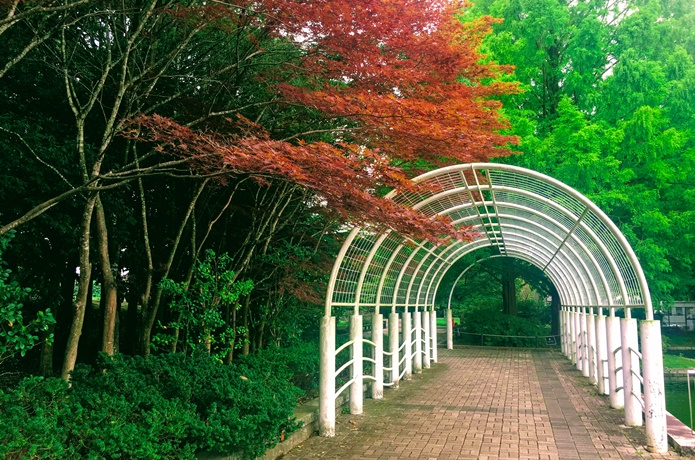七北田公園　白いアーチ