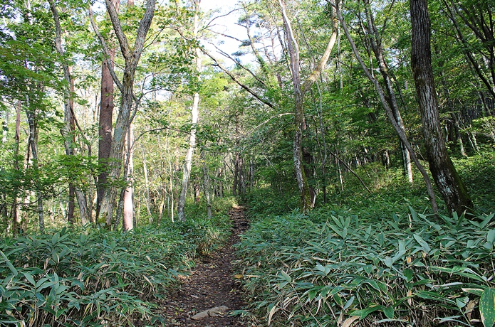 泉ヶ岳　水神コース　４