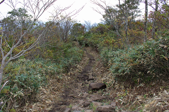 泉ヶ岳　見返平　下り道