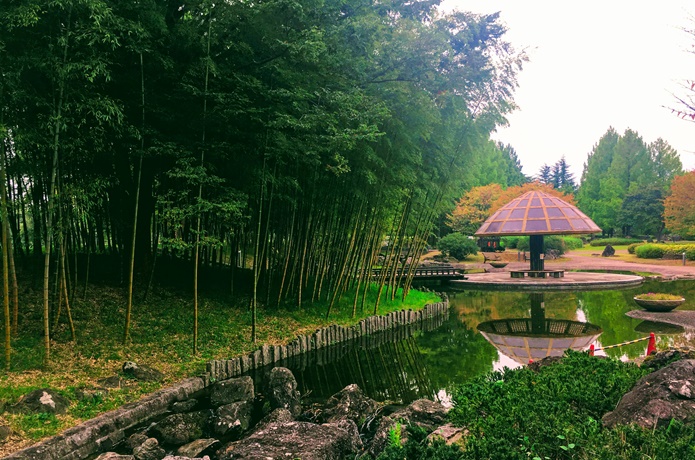 カムリの池