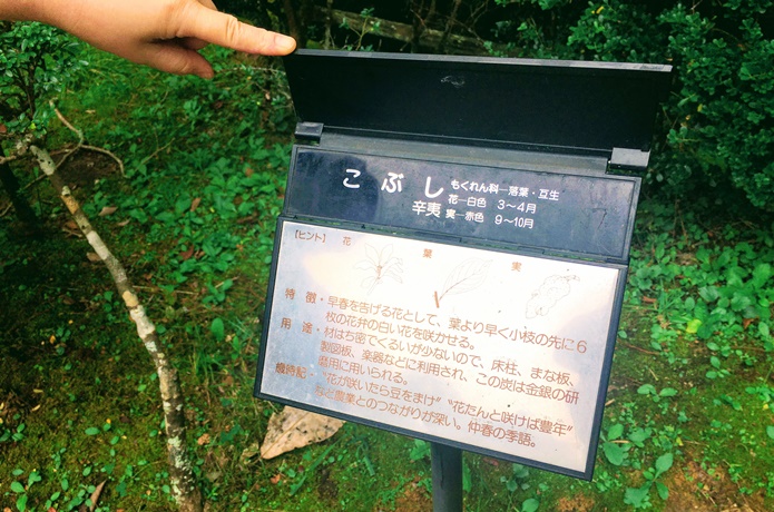 台原森林公園　　グリーンアドベンチャー　問題の看板