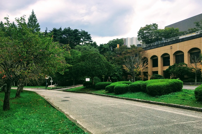 台原森林公園の遊歩道