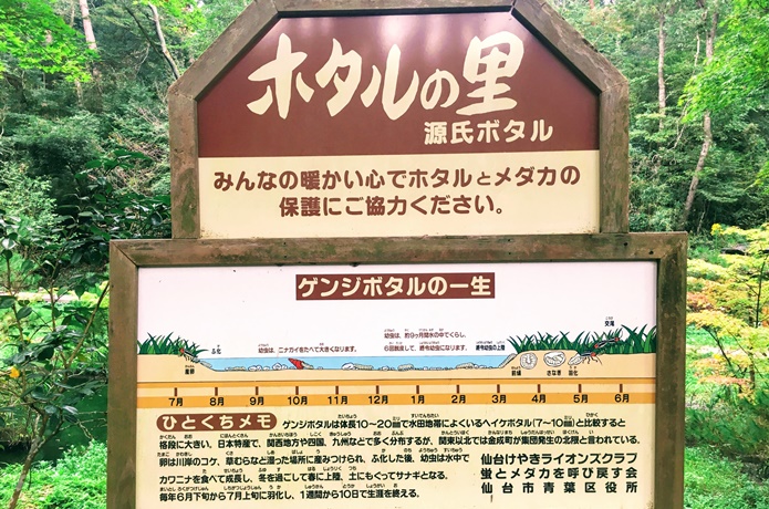 台原森林公園,　ホタルの里　看板
