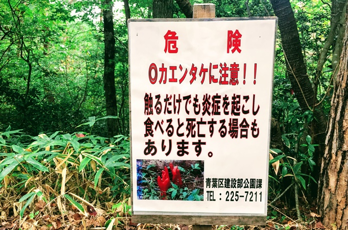 台原森林公園,キノコ注意看板