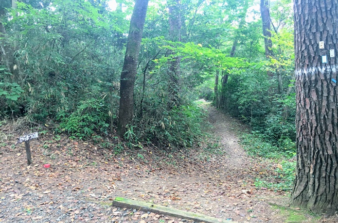 台原森林公園,　ハイキングコース