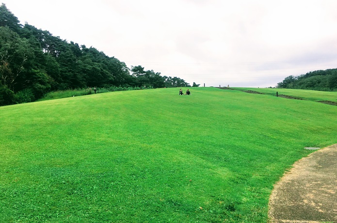 水の森公園　多目的広場
