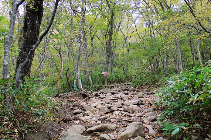 泉ヶ岳　水神平
