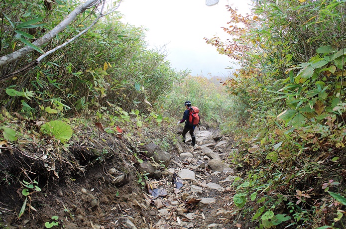 泉ヶ岳　滑走コース　山頂部