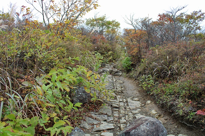 泉ヶ岳　山頂手前