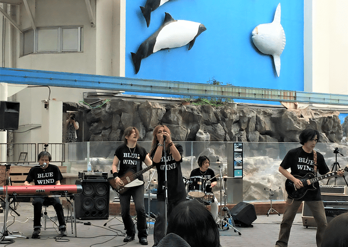 松島パークフェスティバル　2015　演奏風景