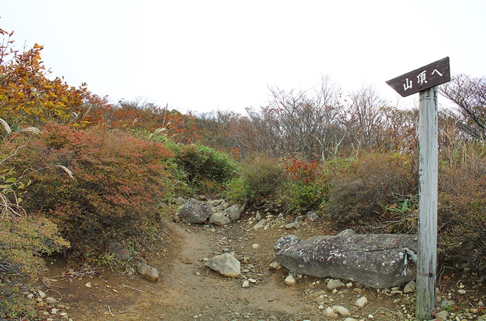 泉ヶ岳　山頂へのラストスパート