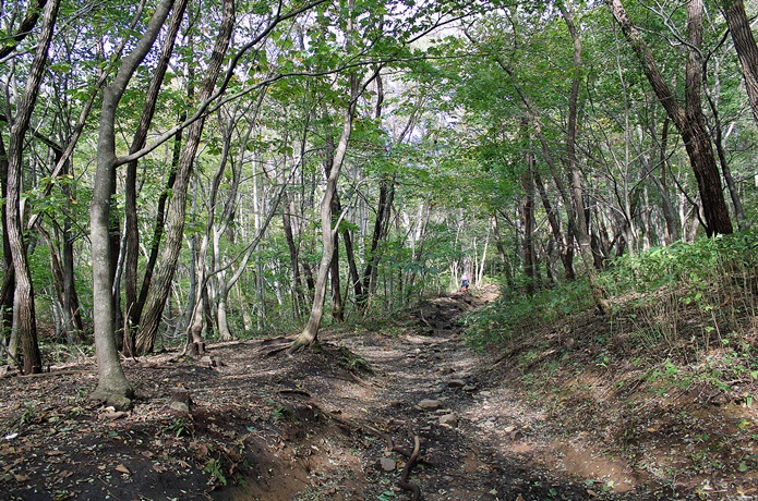 泉ヶ岳　水神コース　１