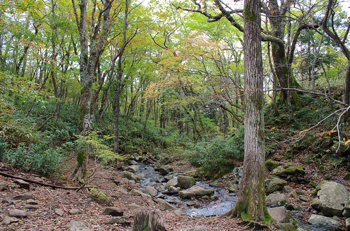 泉ヶ岳　川