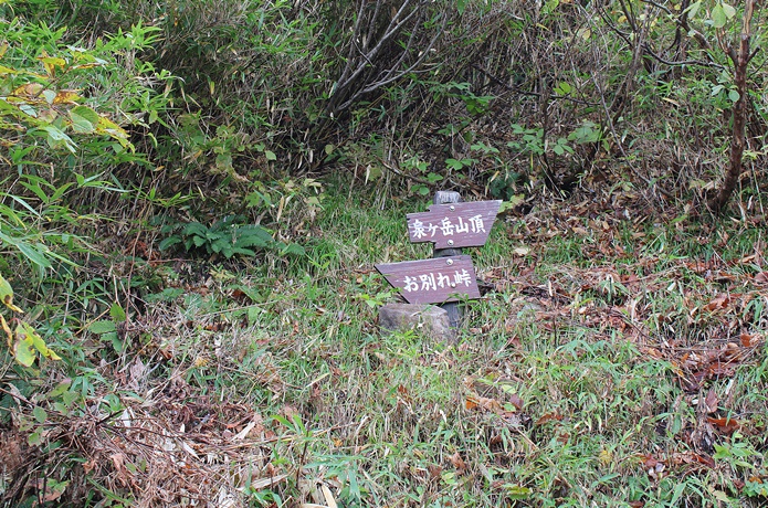 泉ヶ岳　お別れ峠　山頂　分岐の標識