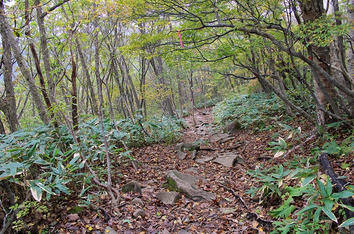 泉ヶ岳　大壁　登山道
