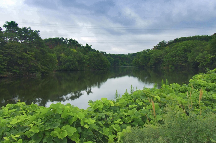 水の森公園　三共堤 秋