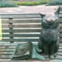七北田公園　猫の像