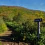見返平からのぞむ泉ヶ岳の山頂