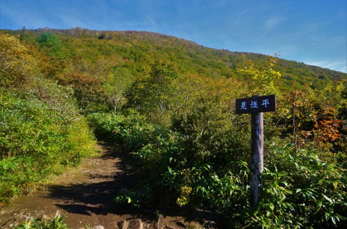 見返平からのぞむ泉ヶ岳の山頂