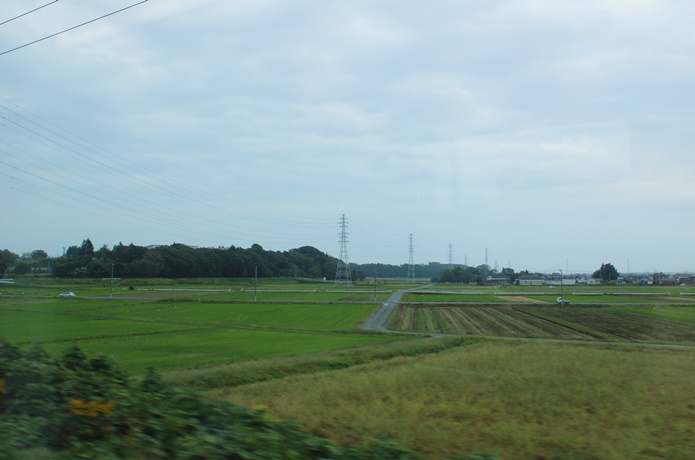 車窓からみる田んぼ