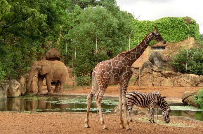 八木山動物公園