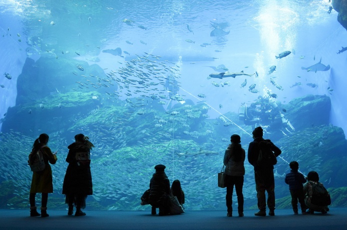 仙台うみの杜水族館　