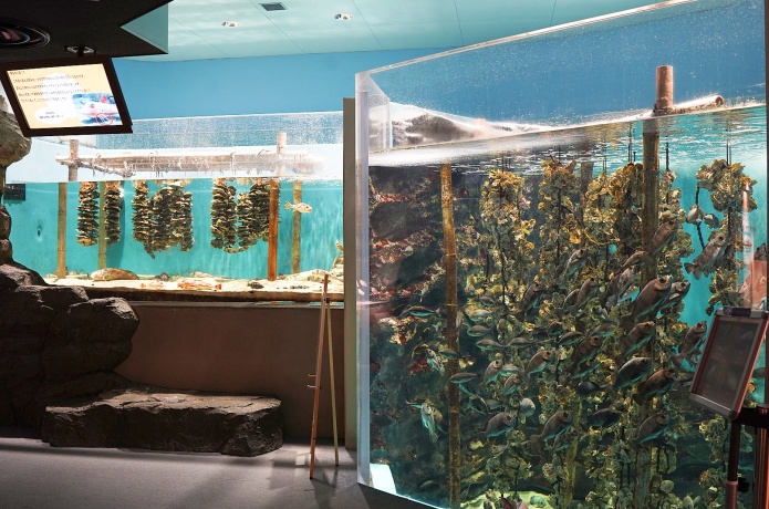 仙台うみの杜水族館