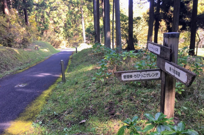 大亀山森林公園　BBQ広場までの道