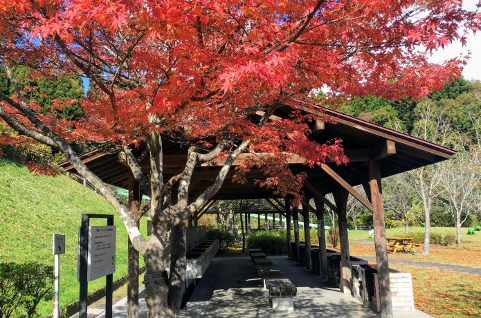 大亀山森林公園　BBQ広場