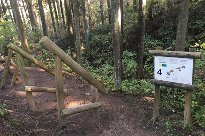 大亀山森林公園　アスレチック