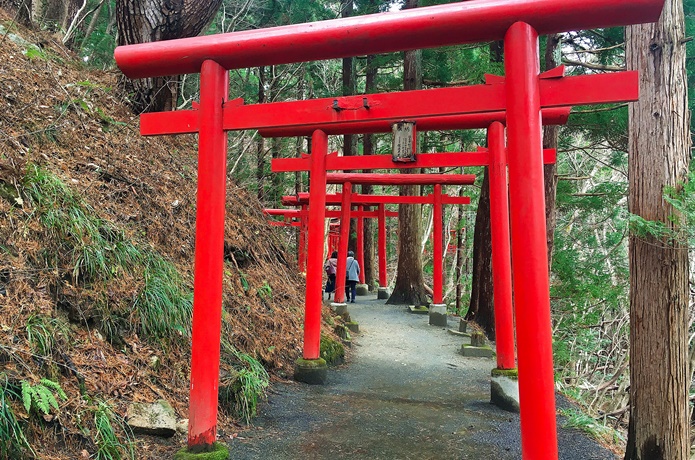 萬蔵稲荷神社　森の参道