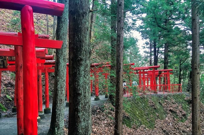 萬蔵稲荷神社　森と鳥居