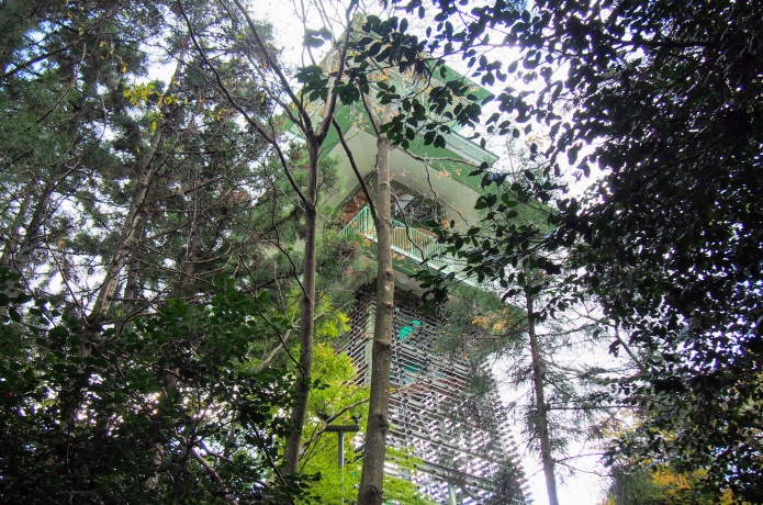 大亀山森林公園　展望台
