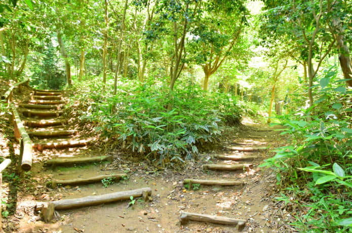 仙台市野草園　遊歩道