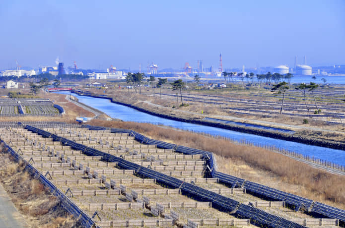 仙台市 貞山運河