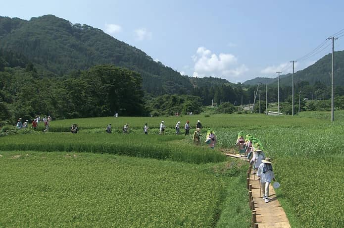七ヶ宿町　イベント　夏