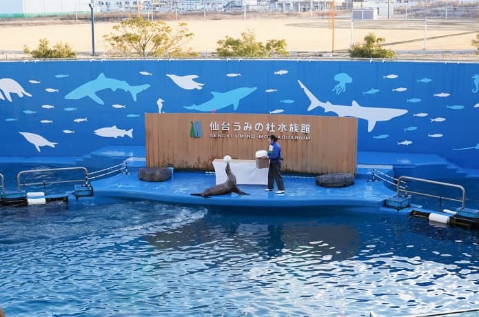 うみの杜水族館　アシカショー