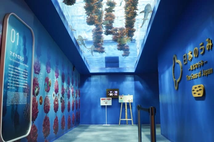 うみの杜水族館　マボヤのもり