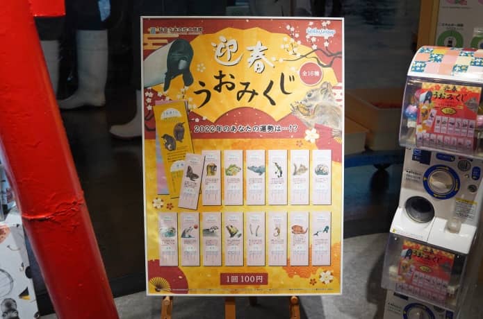 うみの杜水族館　うみくじ
