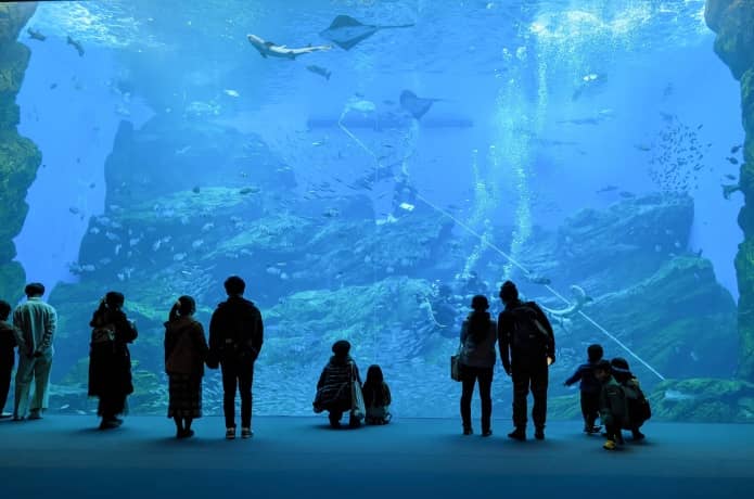 うみの杜水族館　いのちきらめく うみ