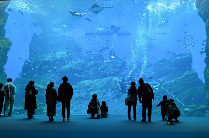 うみの杜水族館　いのちきらめく うみ