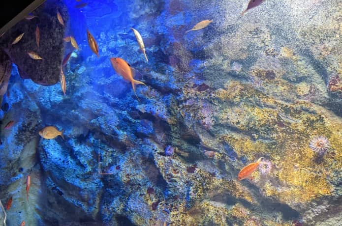 うみの杜水族館　親潮 冷たいうみ
